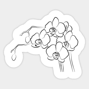 Orchid Line Art Drawing Sticker